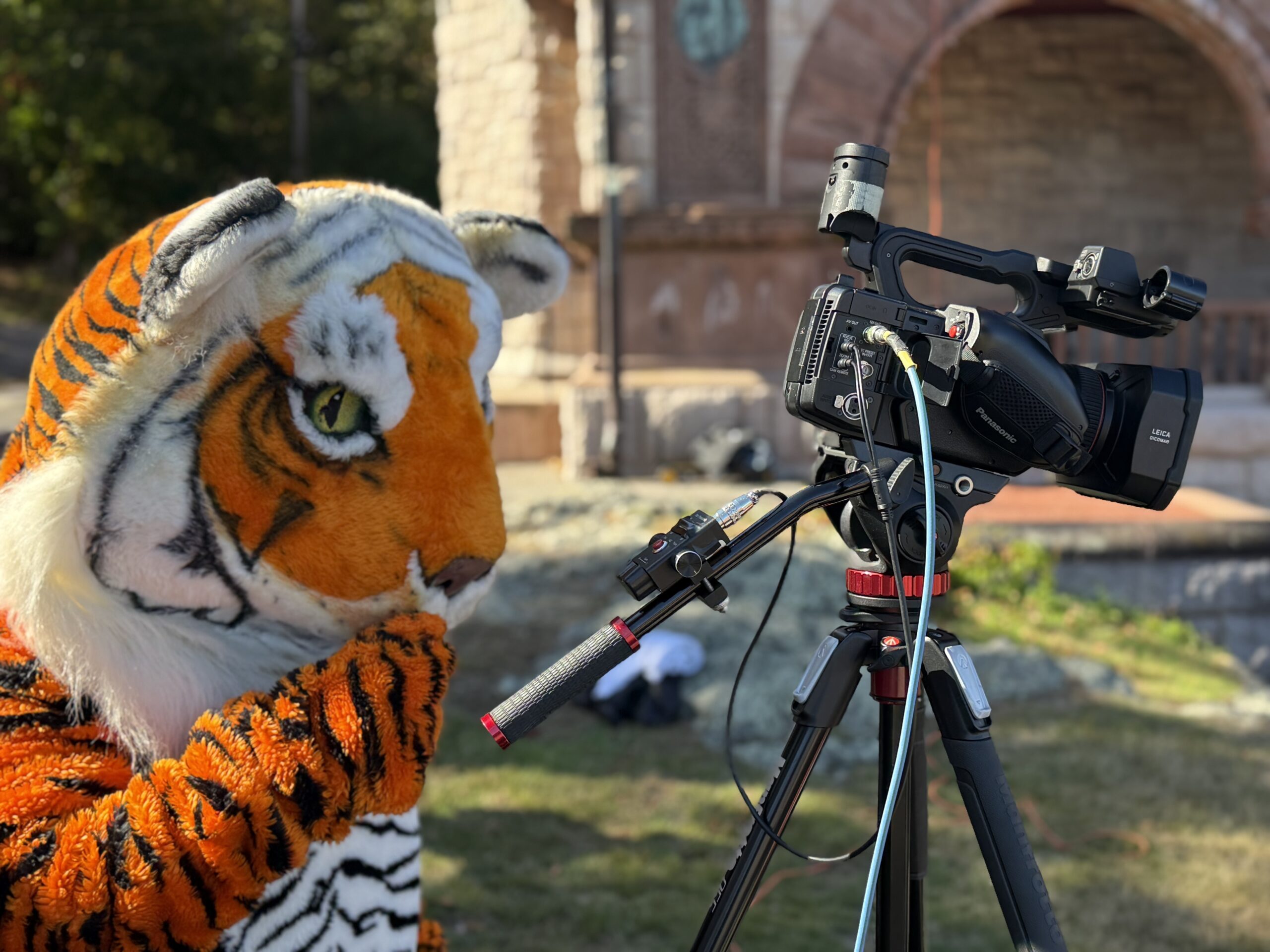 Easton News 11/12/24